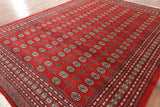 9' X 12' Silky Red Bokhara Wool Rug - Golden Nile