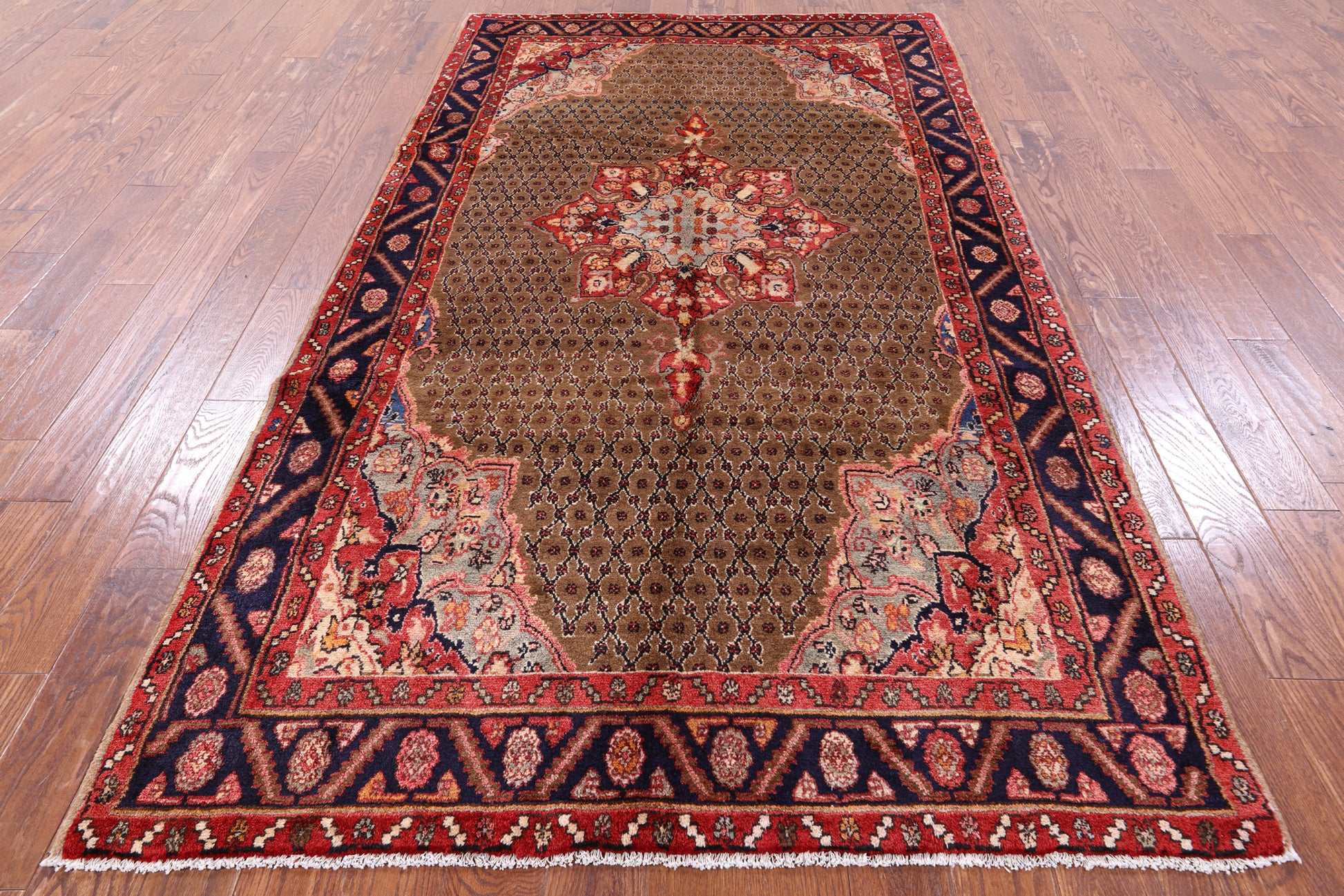 New Persian Hamadan Hand Knotted Area Rug - 5' 3" X 9' 8" - Golden Nile