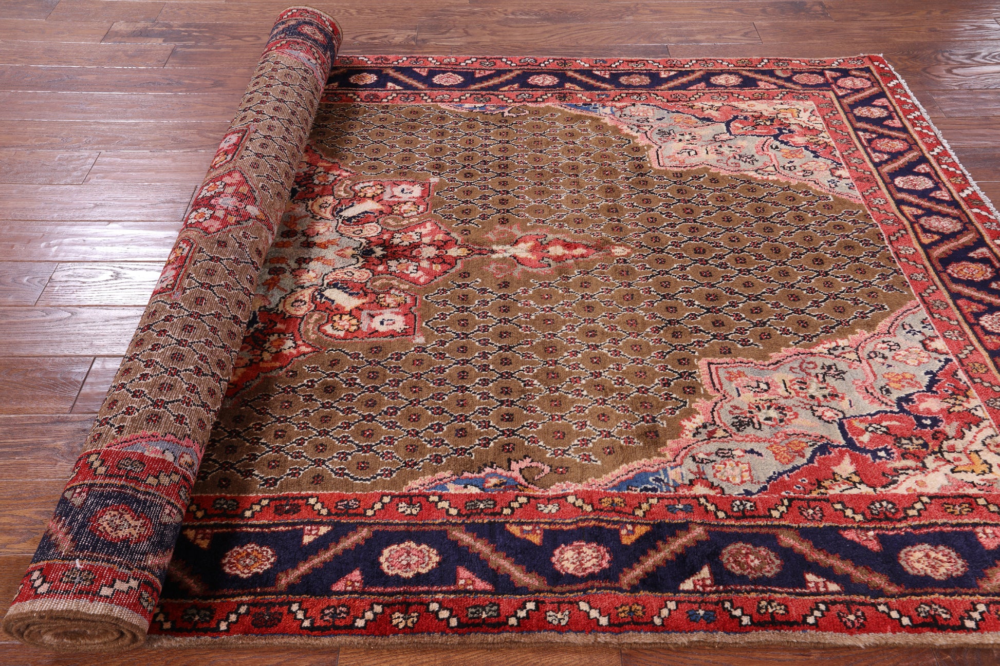 New Persian Hamadan Hand Knotted Area Rug - 5' 3" X 9' 8" - Golden Nile