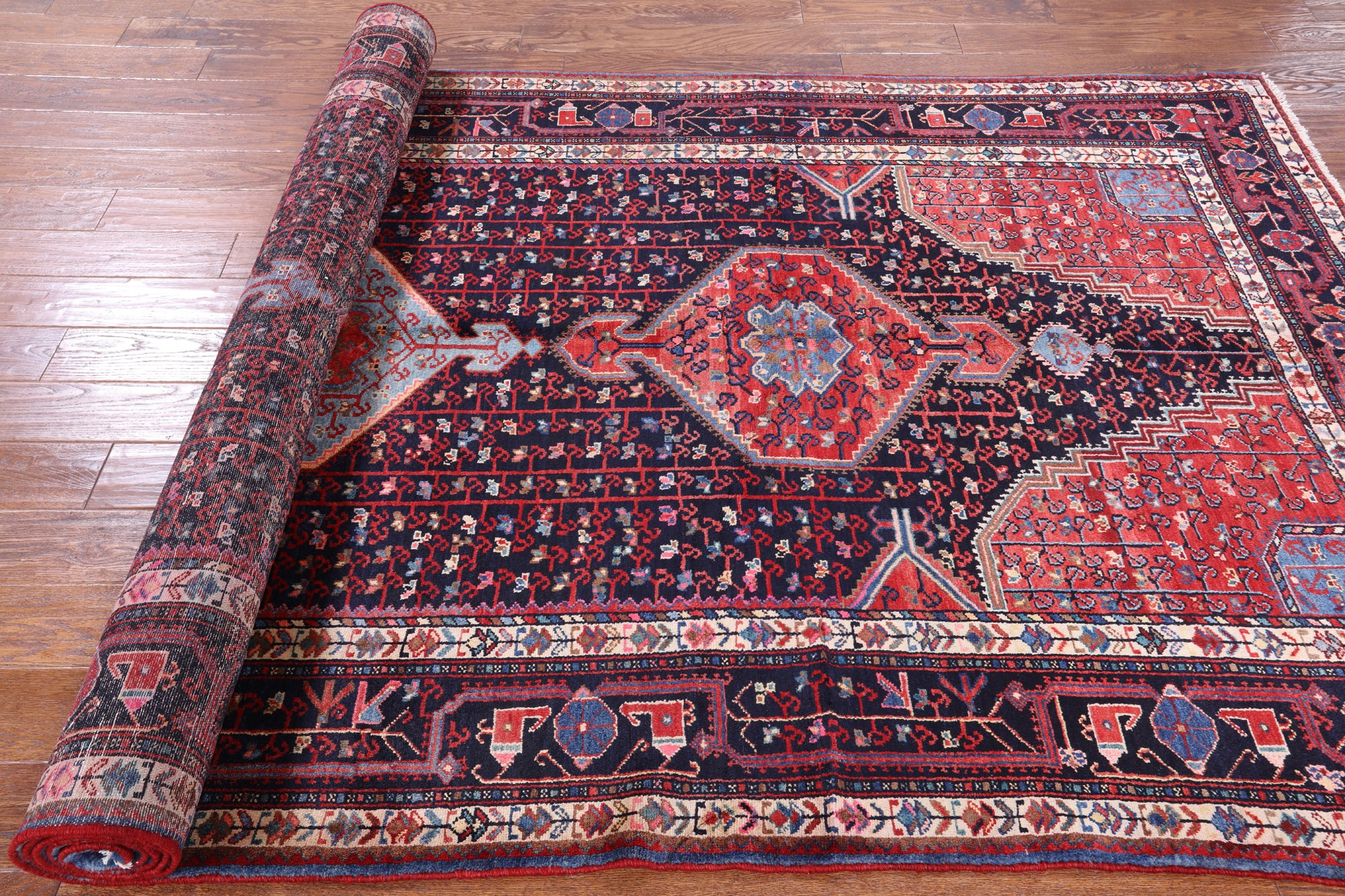 Black New Persian Zanjan Handmade Wool Rug - 5' 8" X 11' 11" - Golden Nile
