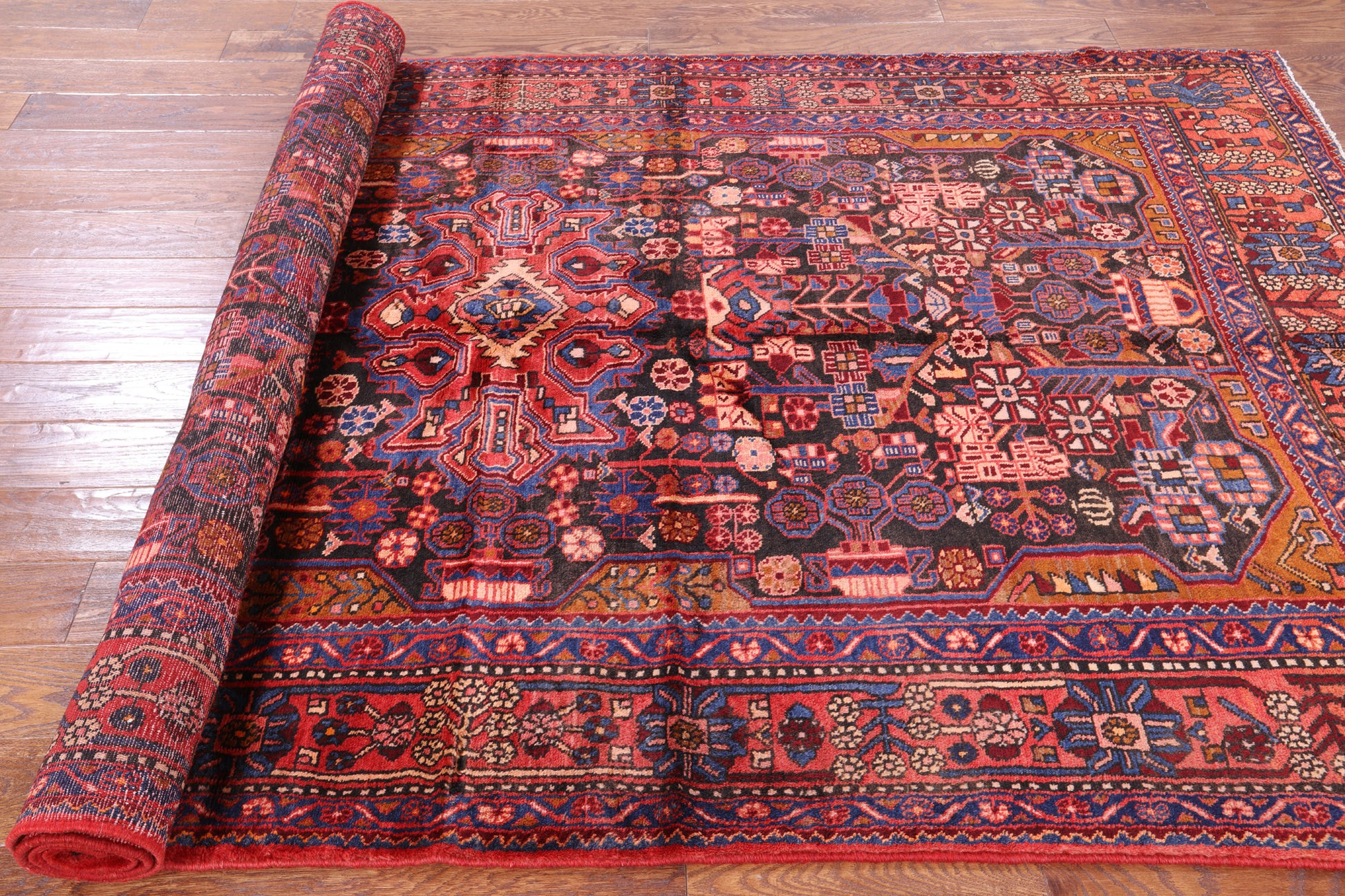 Black New Authentic Persian Nahavand Hand Knotted Rug - 5' 7" X 9' 9" - Golden Nile