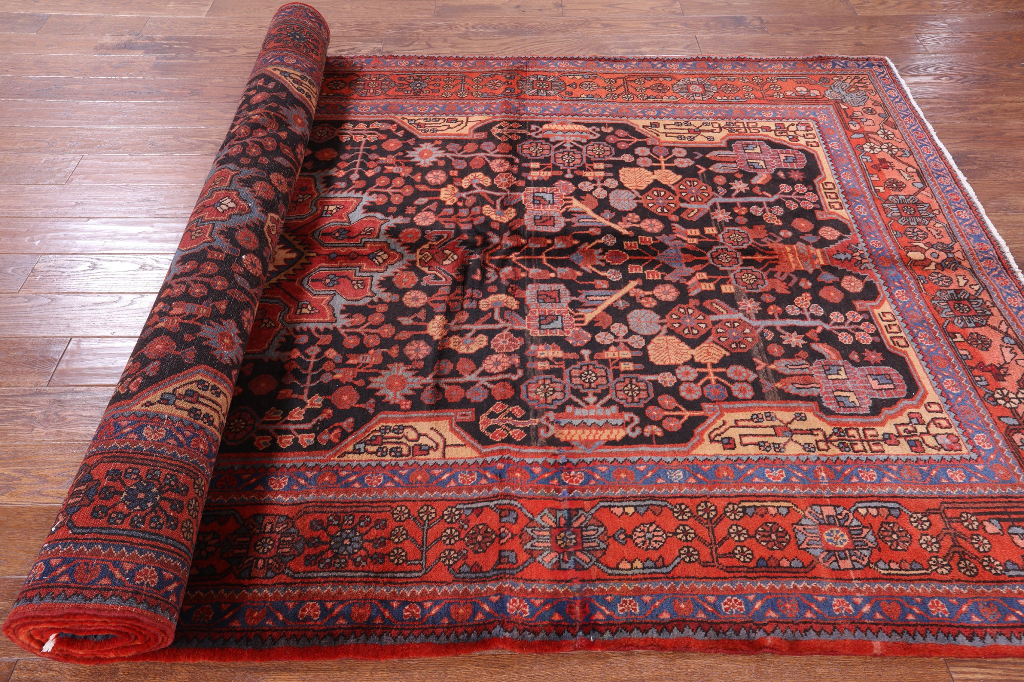 Black New Authentic Persian Nahavand Rug - 5' 10" X 11' 3" - Golden Nile