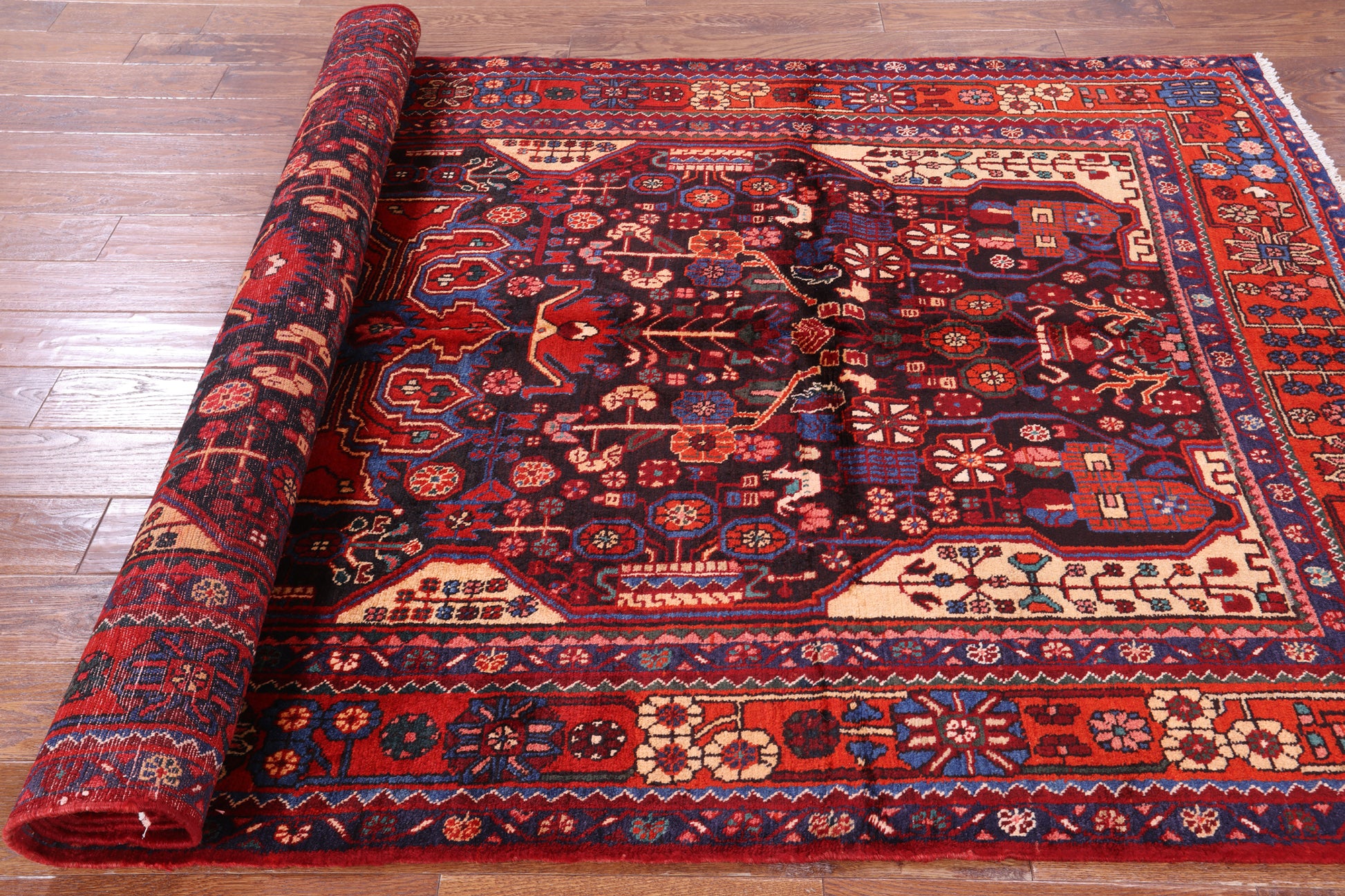Black New Authentic Persian Hamadan Hand Knotted Rug - 5' 5" X 9' 11" - Golden Nile