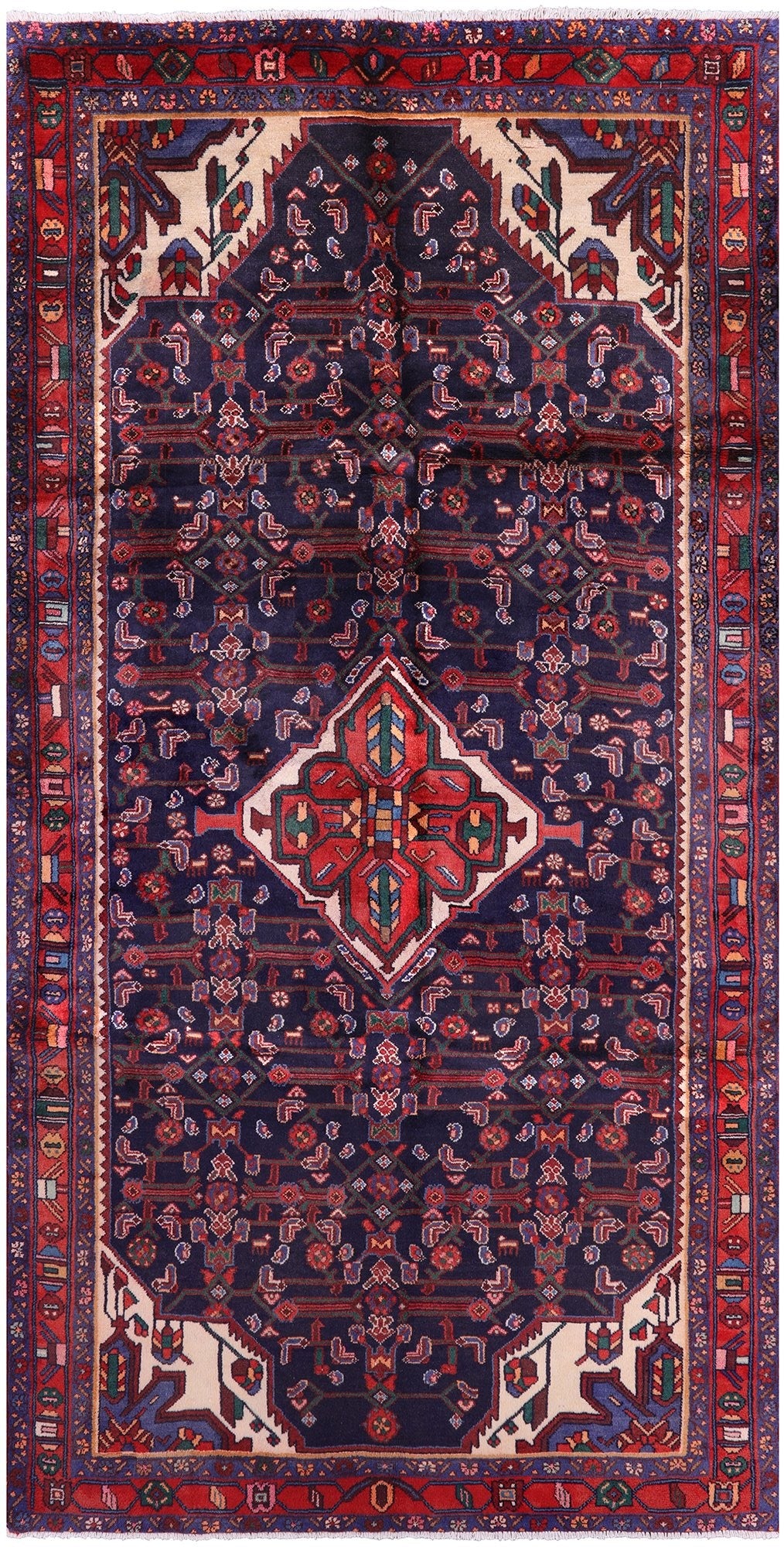 New Authentic Persian Hamadan Hand Knotted Rug - 5' 0" X 9' 9" - Golden Nile