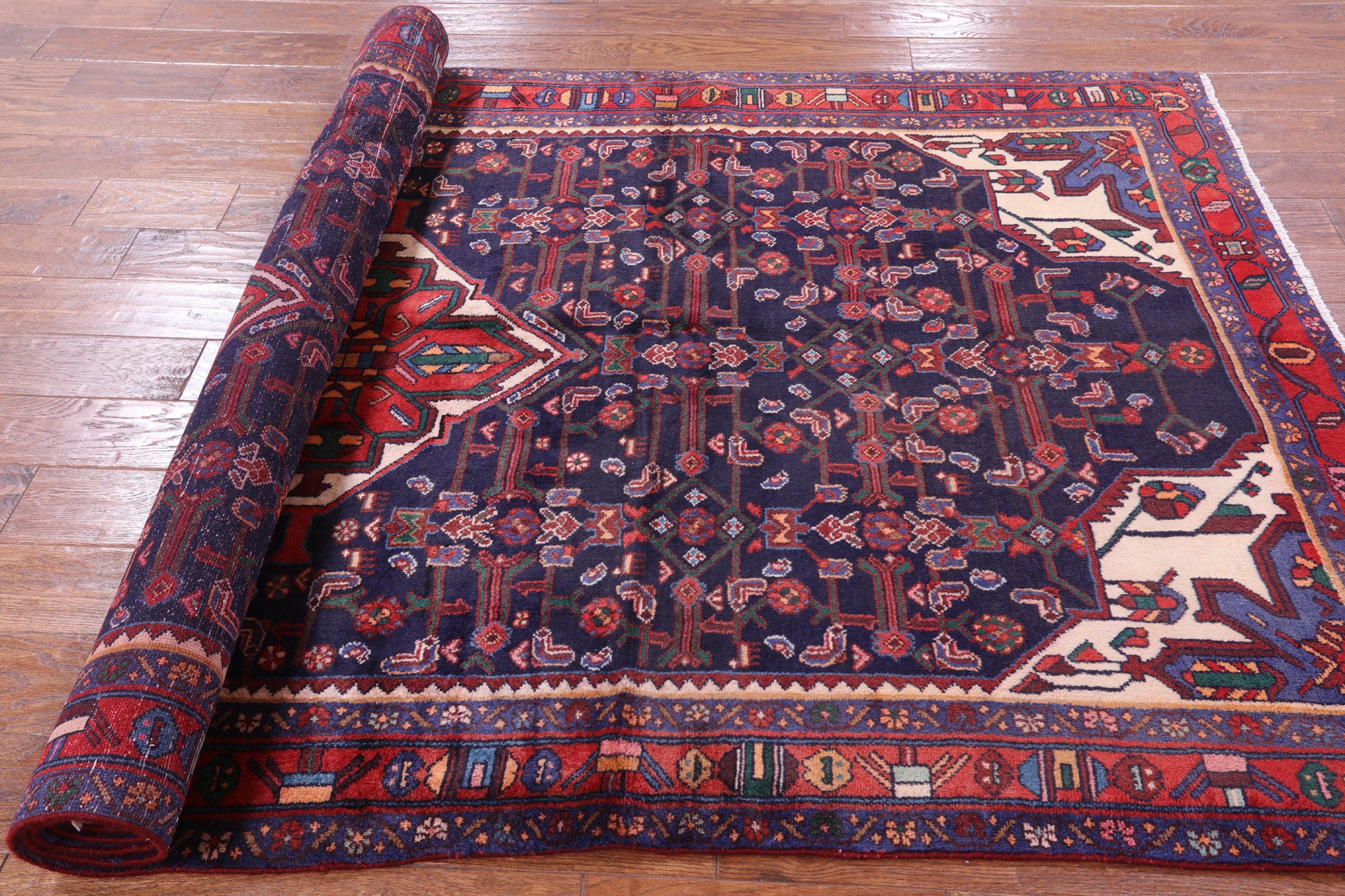 New Authentic Persian Hamadan Hand Knotted Rug - 5' 0" X 9' 9" - Golden Nile