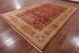 Red Peshawar Hand Knotted Rug - 8' 10" X 12' 5" - Golden Nile