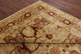 Chobi Peshawar Hand Knotted Rug - 9' 4" X 12' 3" - Golden Nile