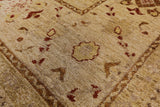 8 X 10 Oriental Signed Chobi Peshawar Hand Knotted Wool Rug - Golden Nile