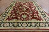 9 X 12 Oriental Tabriz Rug - Golden Nile