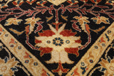 9 X 13 Peshawar Hand Knotted Area Rug - Golden Nile