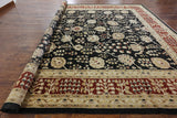 12 X 15 Black Peshawar Oriental Area Rug - Golden Nile