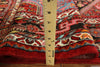 New Authentic Persian Hamadan Oriental Wool Rug 4' 9" X 7' 8" - Golden Nile
