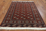 Oriental Bokhara Wool On Wool Persian Rug 5 X 7 - Golden Nile