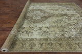 10 X 12 Overdyed Oriental Area Rug - Golden Nile