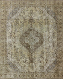 10 X 12 Overdyed Oriental Area Rug - Golden Nile